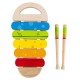 Rainbow Xylophone