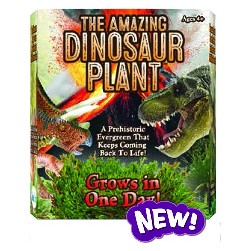 The Amazing Dinosaur Plant