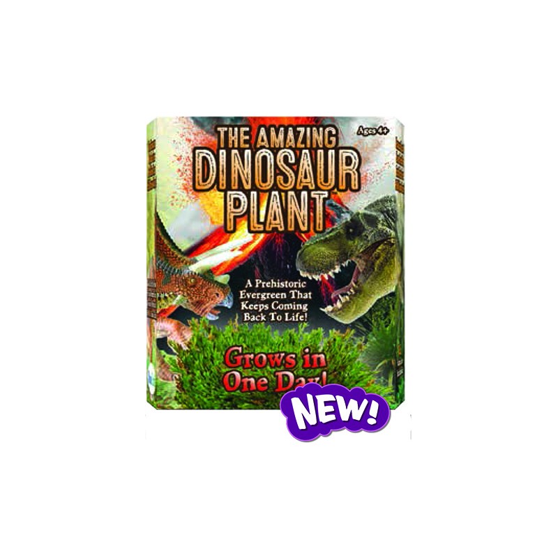 The Amazing Dinosaur Plant