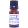 Lavender Essential Oil