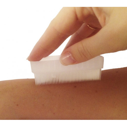 Sensory (Therapy Brush)