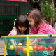 Clear Sand & Water Table