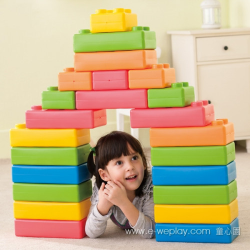 Weplay Brick Me Set ( 45 pcs)