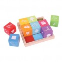 Wooden First Picture Blocks