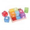 Wooden First Picture Blocks