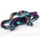 Super Scarab - Super Illusions 4 inch tin