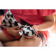 Senseez Handheld Sensory Messager - Lil Cow Soothables