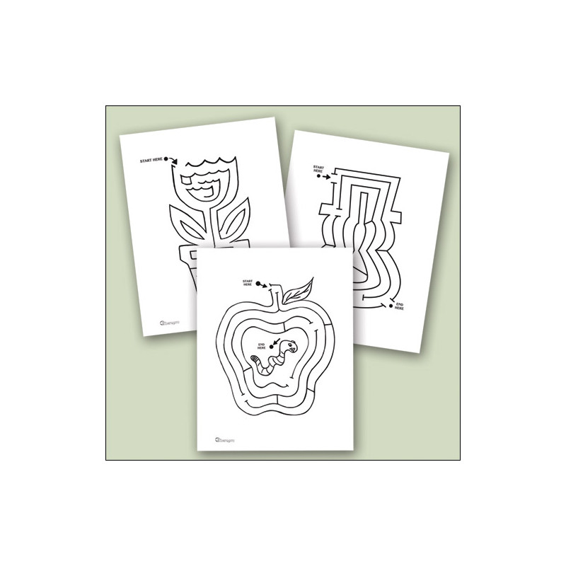 Raised Line Seasonal Mazes Set