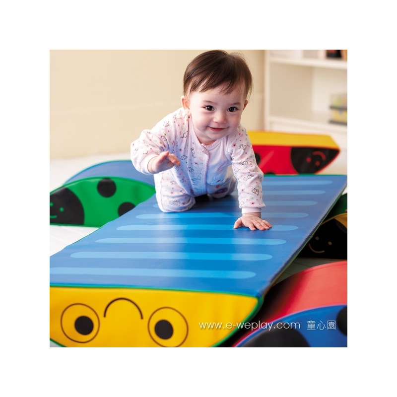 Weplay Forest Party (5 piece)