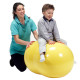 Physio-Roll (Peanut Ball) Various Sizes