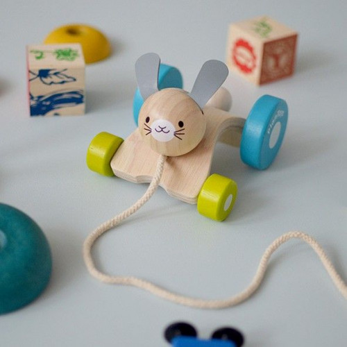 Hopping Rabbit Pull-along Toy