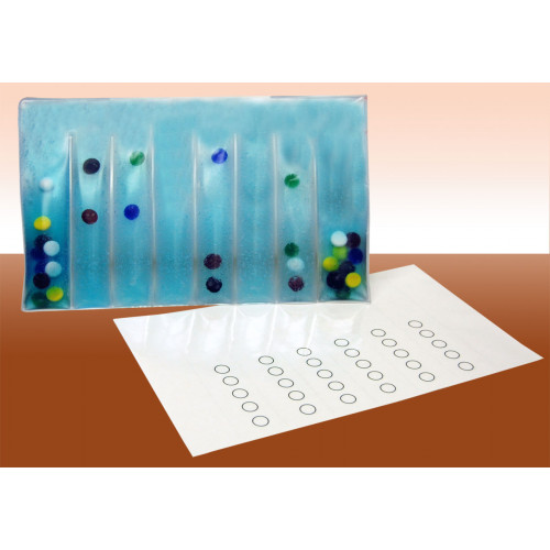 Number-Color Association Pad - Skil-care