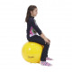 Sit'n Gym Ball