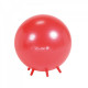 Sit'n Gym Ball