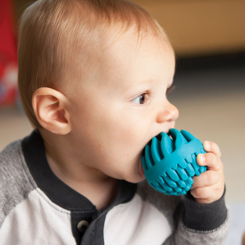 Sensory Rollers (Musical / Teething Toy)