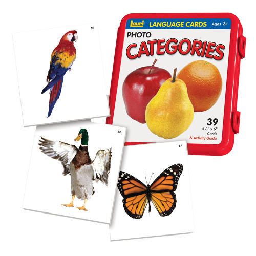 Categories Language Cards - Playmonster
