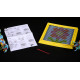 Simply Needlepoint Kit-Flower Blossom