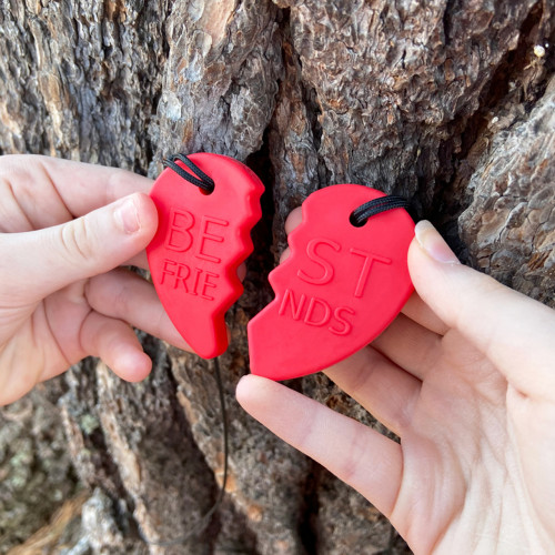 ARK’s Best Friends Split Heart Chewelry Set