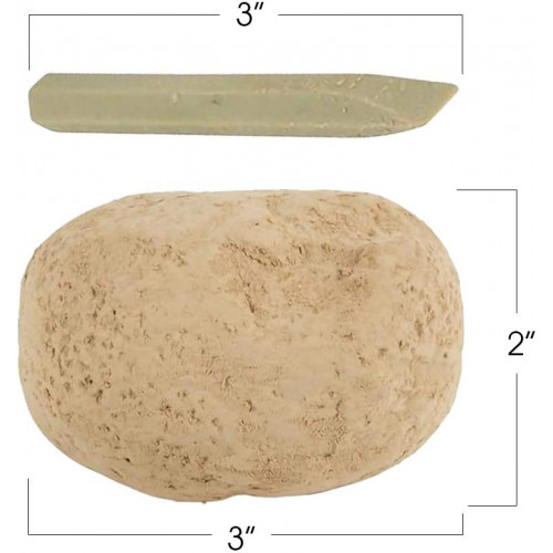 Shark Fossil Egg (Glow in the dark)