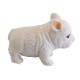 Stretchy Bulldog Fidget