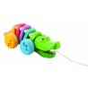 Rainbow Alligator