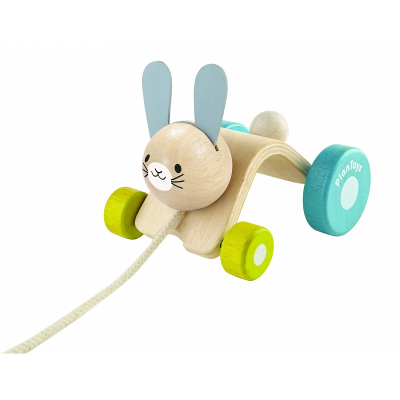 Hopping Rabbit Pullalong Toy