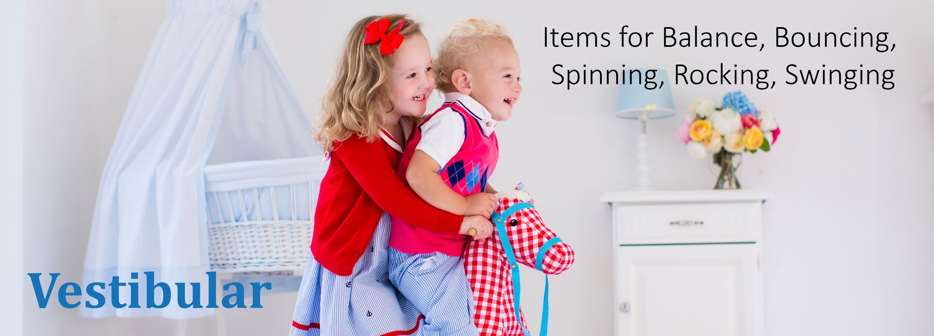 Vestibular: Items for Balance, Bouncing, Spinning, Rocking, Swinging