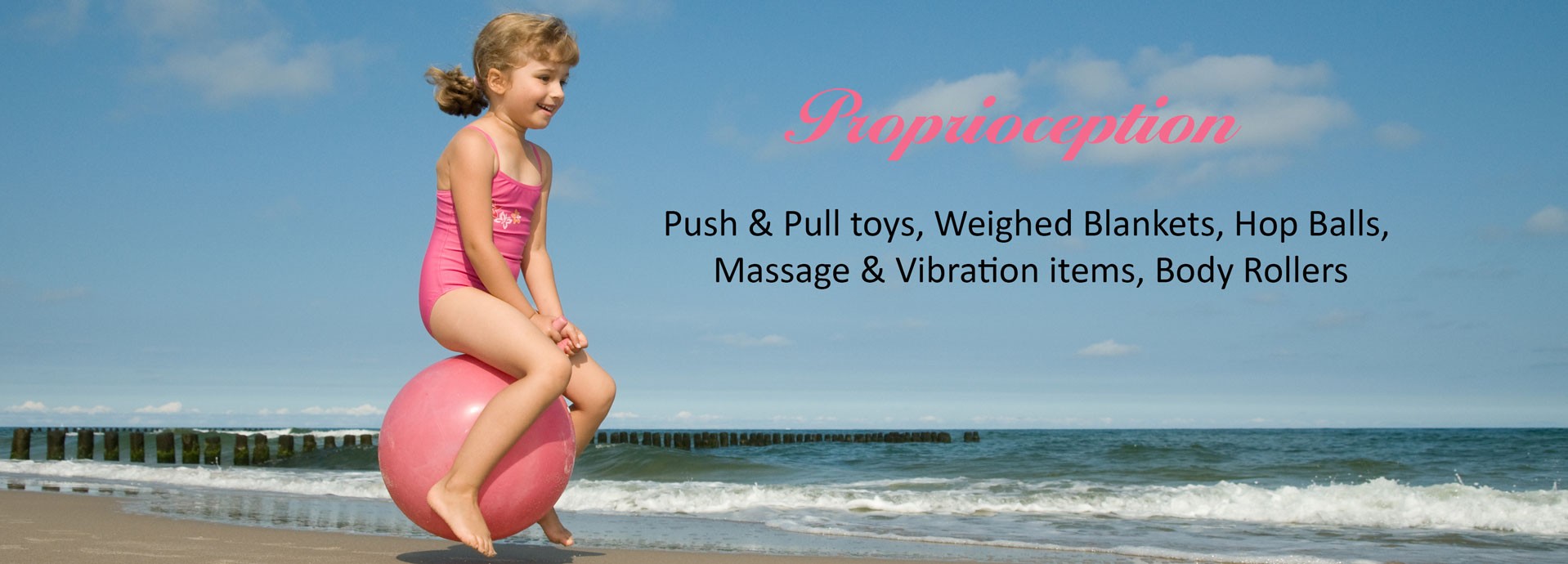 Proprioception: Push & Pull toys, Weighed Blankets, Hop Balls, Massage & Vibration items, Body Rollers