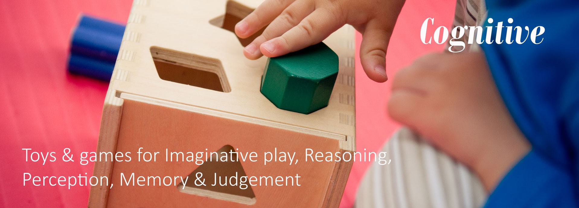 Cognitive: Toys & games for Imaginative play, Reasoning, Perception, Memory & Judgement